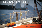 LES GRENADINES